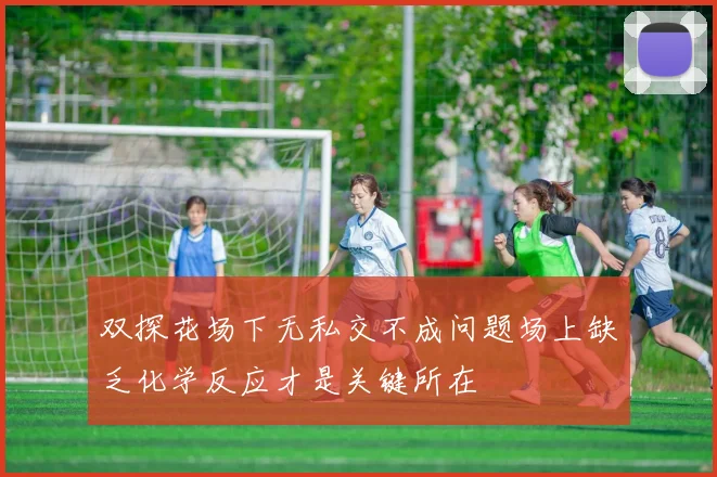 双探花场下无私交不成问题场上缺乏化学反应才是关键所在