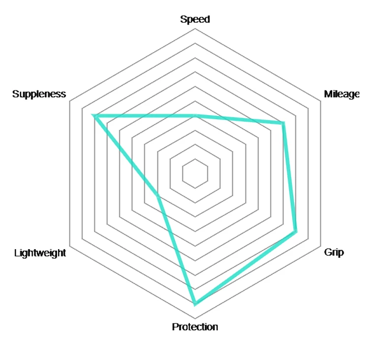 Vittoria Pneu Tubulaire Rallye 25-622 RVC 3 Vittoria Pneu Tubulaire Rallye 25-622 RVC – Image 3
